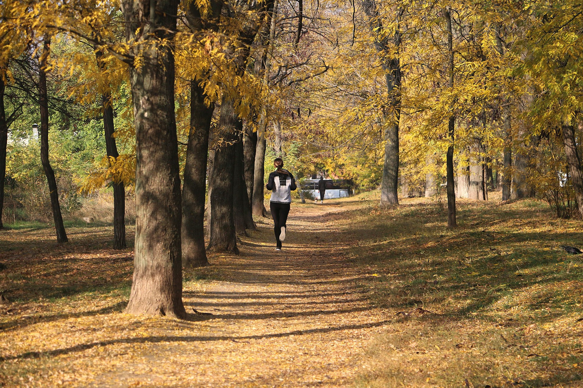 Person jogging along a tree-lined path covered in autumn leaves, embracing an active lifestyle as part of staying fit at uni.